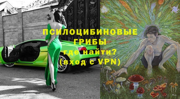 скорость Новозыбков