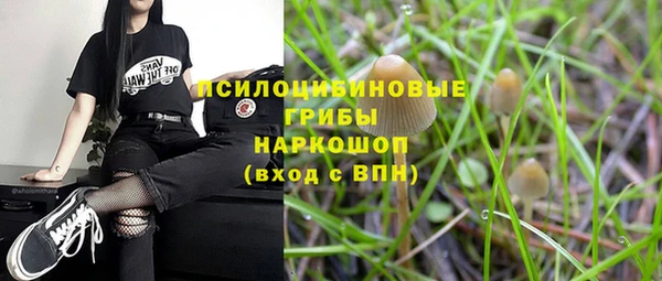 соль курить ск Няндома