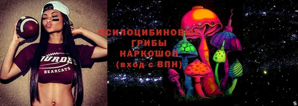 стафф Данков